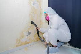 Best Comprehensive Air Testing for Mold Contaminants  in Germantown Hls, IL